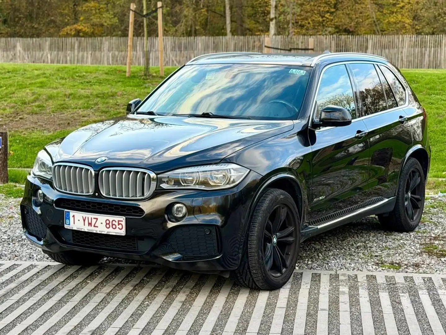 BMW X5 X5 3.0 dAS xDrive30 Negro - 2