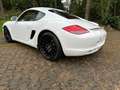 Porsche Cayman Cayman S PDK Blanco - thumbnail 6