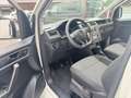 Volkswagen Caddy Maxi Kasten BMT 4Motion Weiß - thumbnail 13