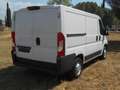 Fiat Ducato Fg. 33 2.3Mjt L1 H1 120CV Blanco - thumbnail 7