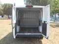 Fiat Ducato Fg. 33 2.3Mjt L1 H1 120CV Blanco - thumbnail 10