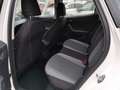 SEAT Arona 1.0 TSI Ecomotive S&S Style 110 Bianco - thumbnail 7