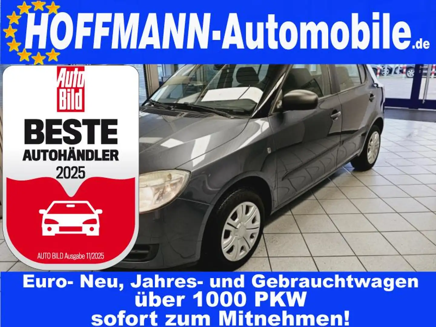 Skoda Fabia Active Tüv 03-2026 Grau - 1