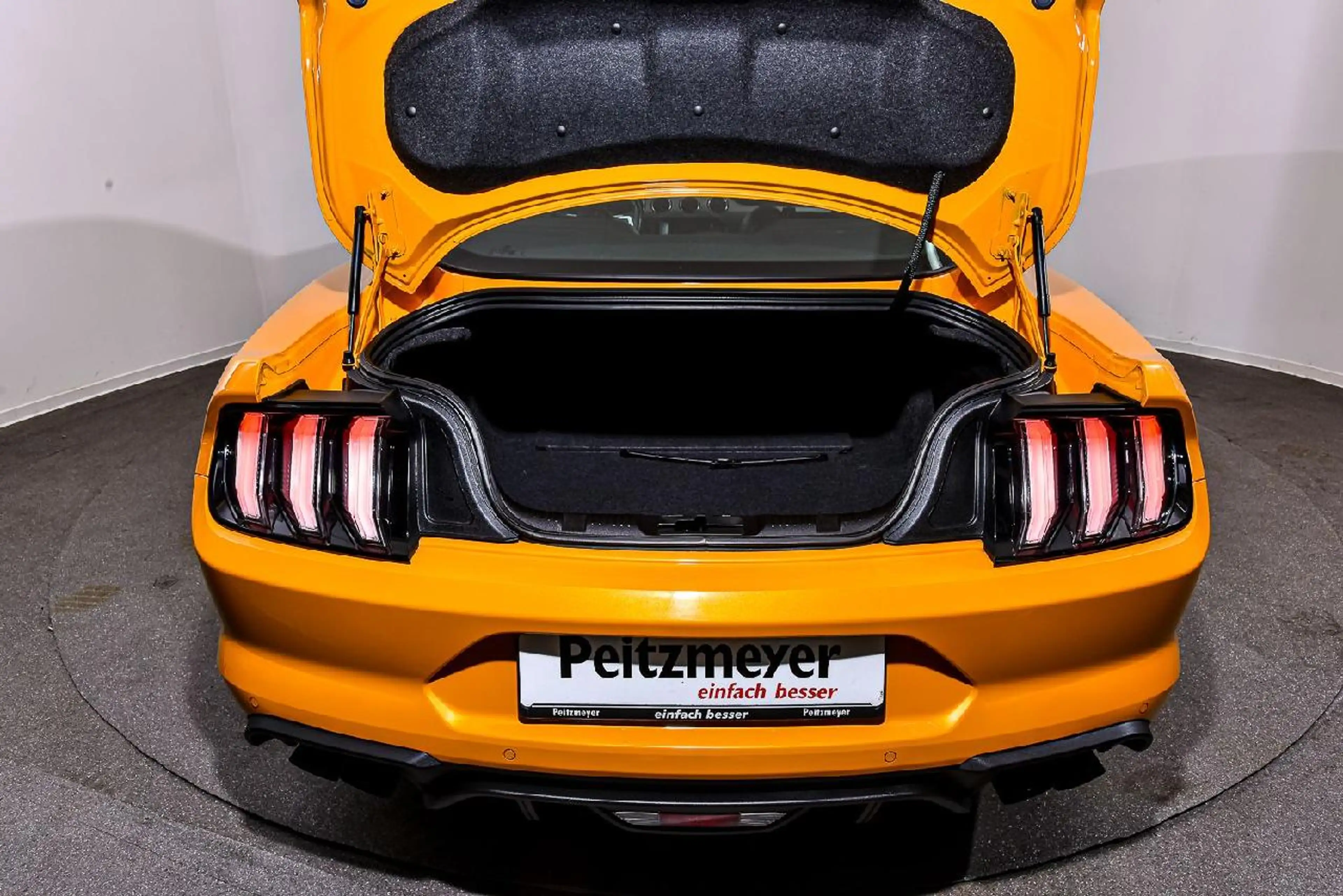 Ford Mustang GT Fastback — photo 9