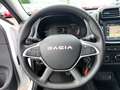 Dacia Spring Extreme 65 *NAVI*KLIMA*PDC*ALLWetter Weiß - thumbnail 10