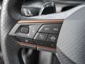 CUPRA Formentor 1.5 TSI DSG / LED/ Navi/ ACC/ RFK Grau - thumbnail 17
