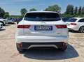 Jaguar E-Pace E-Pace 2017 2.0d i4 awd 150cv UNICO PROPRIETARIO Bianco - thumbnail 5