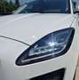 Jaguar E-Pace E-Pace 2017 2.0d i4 awd 150cv UNICO PROPRIETARIO Bianco - thumbnail 4