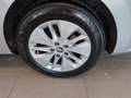 Skoda Octavia 4x4 Ambition TDI DSG Silber - thumbnail 19