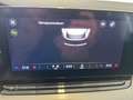 Skoda Octavia 4x4 Ambition TDI DSG Silber - thumbnail 10