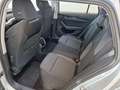 Skoda Octavia 4x4 Ambition TDI DSG Silber - thumbnail 16