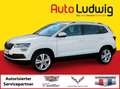 Skoda Karoq 1,0 TSI Style*VIRTUAL*NAVI*LED*R-CAM*AHK*PDC*TE... Weiß - thumbnail 1