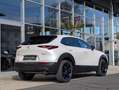 Mazda CX-30 2.5 G140 6AT HOMURA Weiß - thumbnail 7