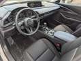 Mazda CX-30 2.5 G140 6AT HOMURA Weiß - thumbnail 18