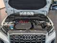 Audi SQ2 TFSI quattro S tronic S-Line 1.Hand 8-fach Alb - thumbnail 14
