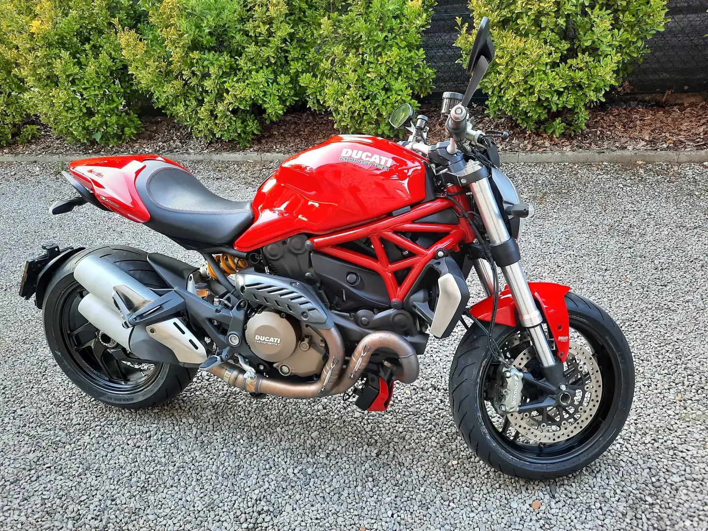 Ducati Monster 1200 Rojo - 1