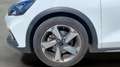 Ford Focus 1.0 Ecoboost Active 125 Blanco - thumbnail 16