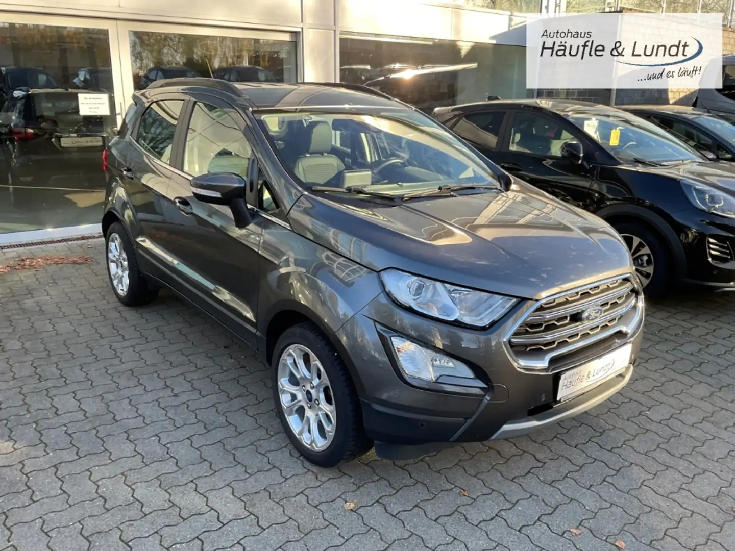 Ford EcoSport Titanium Allwetterreifen AHK LED Grau - 2