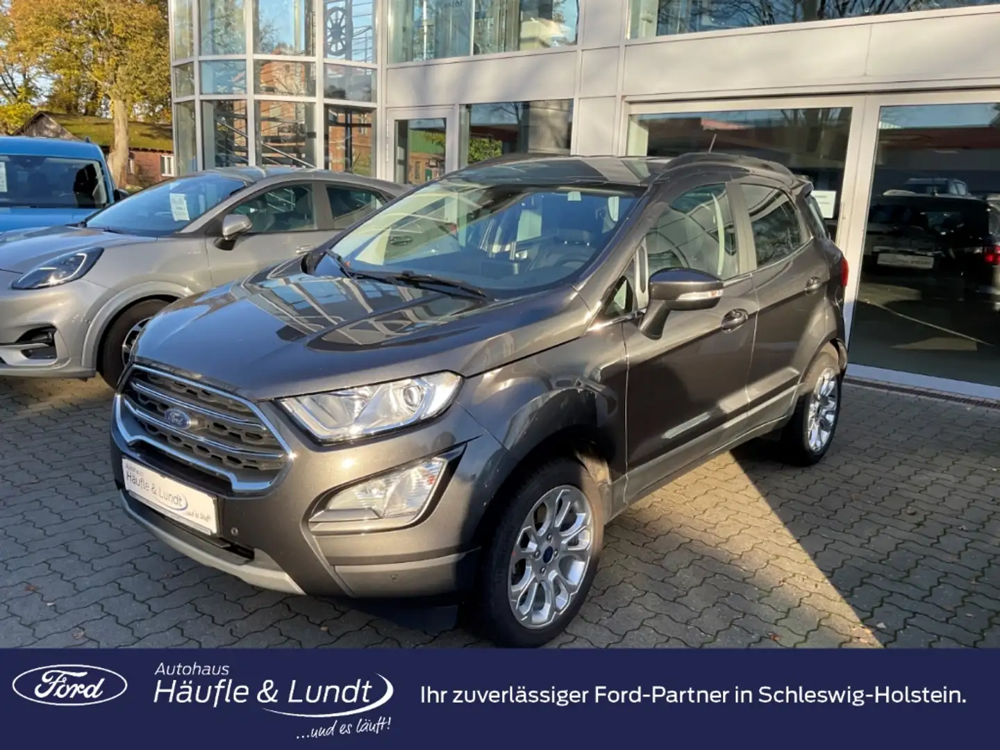 Ford EcoSport Titanium Allwetterreifen AHK LED Grau - 1