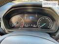 Ford EcoSport Titanium Allwetterreifen AHK LED Grau - thumbnail 10