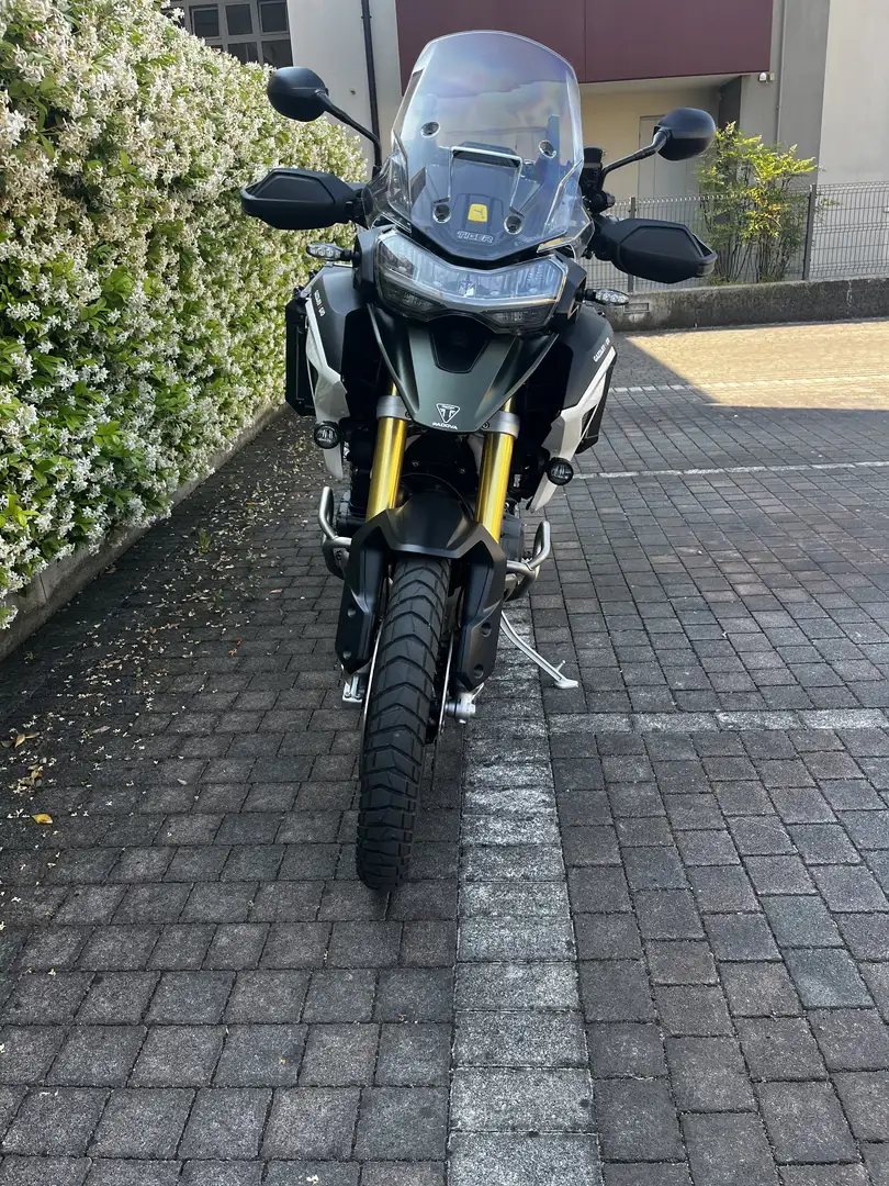 Triumph Tiger 1200 Rally Pro Verde - 2