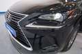 Lexus NX 300 300h Business Navigation 2WD Negro - thumbnail 10