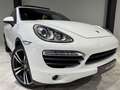 Porsche Cayenne S 4.2 Bi-TURBO V8 382CV "EXCLUSiVE" FULL OPTiONS " Білий - thumbnail 3