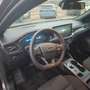 Ford Focus ST-Line X  ACC + Matrix-LED + Head-Up Grau - thumbnail 10