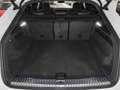 Audi Q8 SUV 50 TDI quattro 210(286)  tiptronic AHK Weiß - thumbnail 15