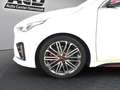 Kia ProCeed / pro_cee'd PROCEED 1.6T DCT GT *PANO*MEMORY*NAV*JBL*LED* Weiß - thumbnail 22