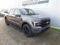 Ford F 150 Lariat Black 3.5V6 Hybrid - Tankgutschein Gris - thumbnail 18