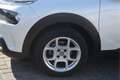 Citroen C4 Cactus 1.2 PureTech Business Carplay | LMV | Bluetooth | Weiß - thumbnail 33