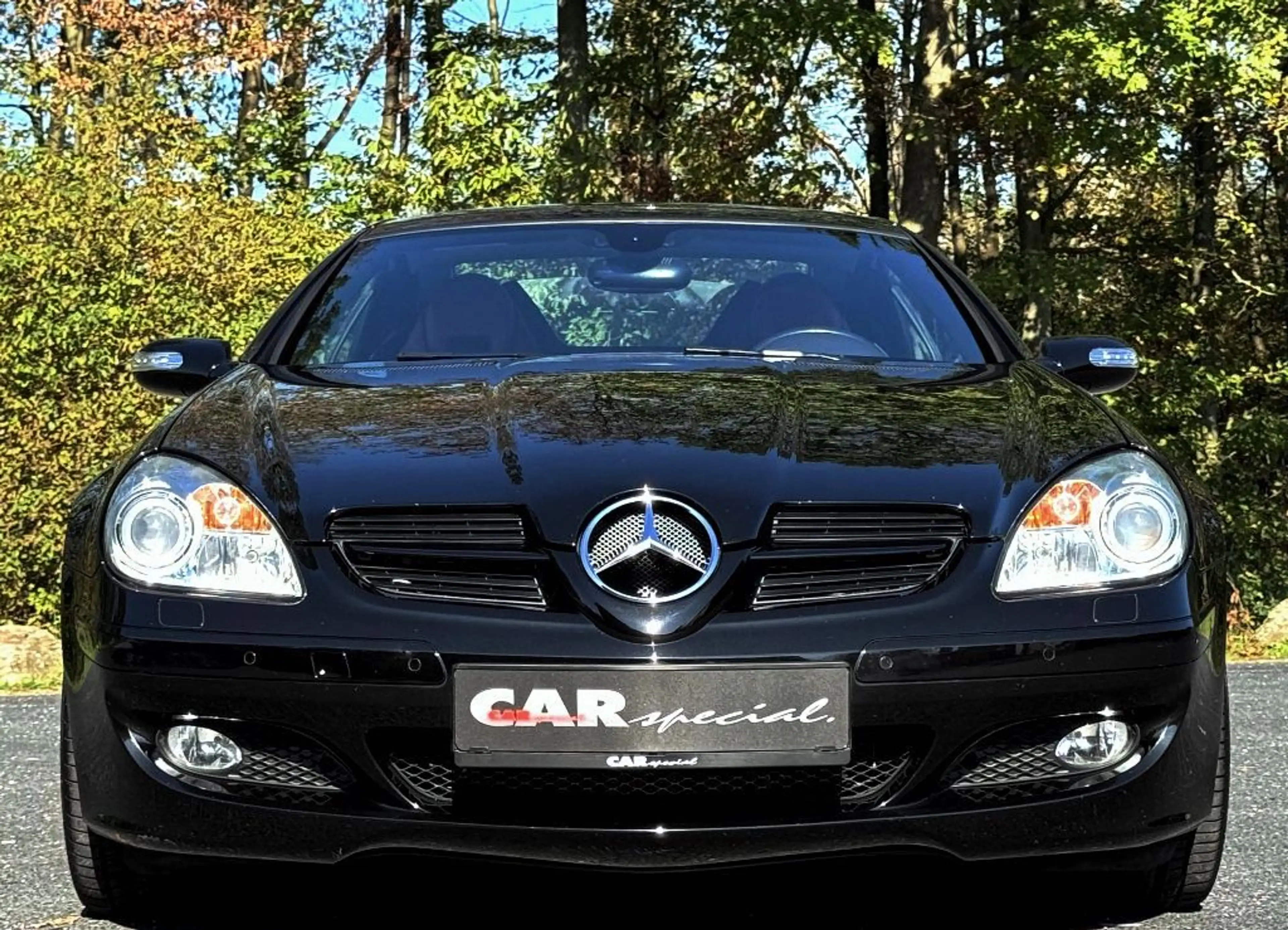 Mercedes-Benz SLK 280 Mercedes SLK 280 Sport Roadster AMG Designo