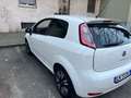 Fiat Punto 3p 1.3 mjt 16v Young 75cv Bianco - thumbnail 2
