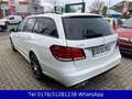 Mercedes-Benz E 220 E T-Modell E 220 BlueTec 4Matic Facelift Blanc - thumbnail 2