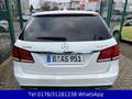 Mercedes-Benz E 220 E T-Modell E 220 BlueTec 4Matic Facelift Blanc - thumbnail 5