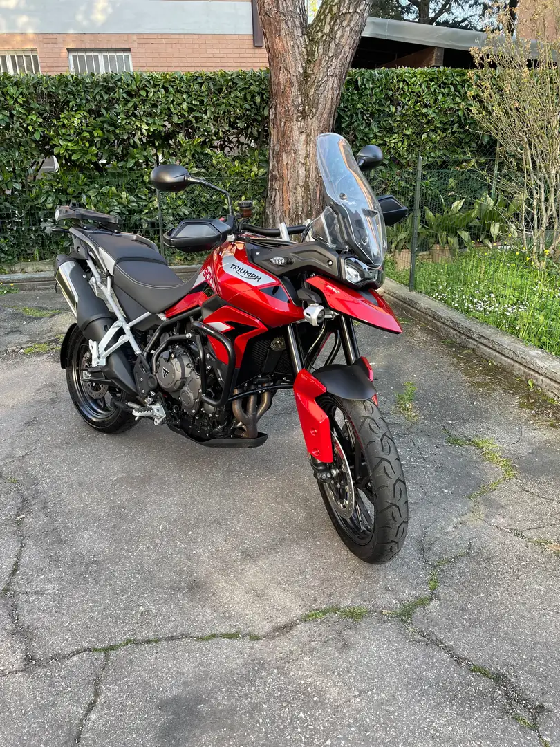 Triumph Tiger 900 GT PRO Rouge - 2