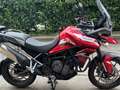 Triumph Tiger 900 GT PRO Rouge - thumbnail 8