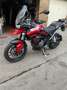 Triumph Tiger 900 GT PRO Rouge - thumbnail 9