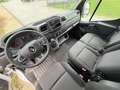 Renault Master /L4/Maxi/Pritsche/3-Sitzer/Luft Weiß - thumbnail 6