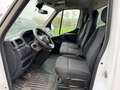 Renault Master /L4/Maxi/Pritsche/3-Sitzer/Luft Weiß - thumbnail 5