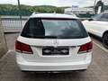 Mercedes-Benz E 250 E 250 BlueTec 9G-Tronic Avantgarde erst 34Tkm Weiß - thumbnail 6