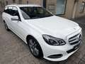 Mercedes-Benz E 250 E 250 BlueTec 9G-Tronic Avantgarde erst 34Tkm Weiß - thumbnail 3