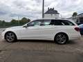 Mercedes-Benz E 250 E 250 BlueTec 9G-Tronic Avantgarde erst 34Tkm Weiß - thumbnail 7