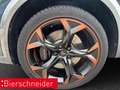 CUPRA Formentor 1.4 TSI DSG e-Hybrid VZ AB 290EUR NAVI VIEW SHZ AC Grün - thumbnail 29