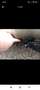 Fiat Sedici 1.6 16V Emotion 4X4 - thumbnail 15