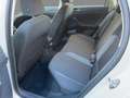 Volkswagen Polo 1.0 TSI Life DSG Klima LED AppConnect Gris - thumbnail 10