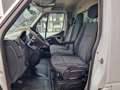 Opel Movano 2.3 CDTI Kuhlkoffer Thermo-King V300MAX Euro 5B Blanco - thumbnail 19