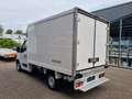 Opel Movano 2.3 CDTI Kuhlkoffer Thermo-King V300MAX Euro 5B Blanco - thumbnail 5