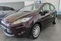 Ford Fiesta 5p 1.4 tdci Ikon Business 70cv*neopatenati* Marrone - thumbnail 5
